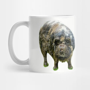 KuneKune just looking at You Mug